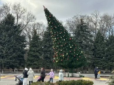 В Ростовской области шквалистый ветер валит новогодние елки