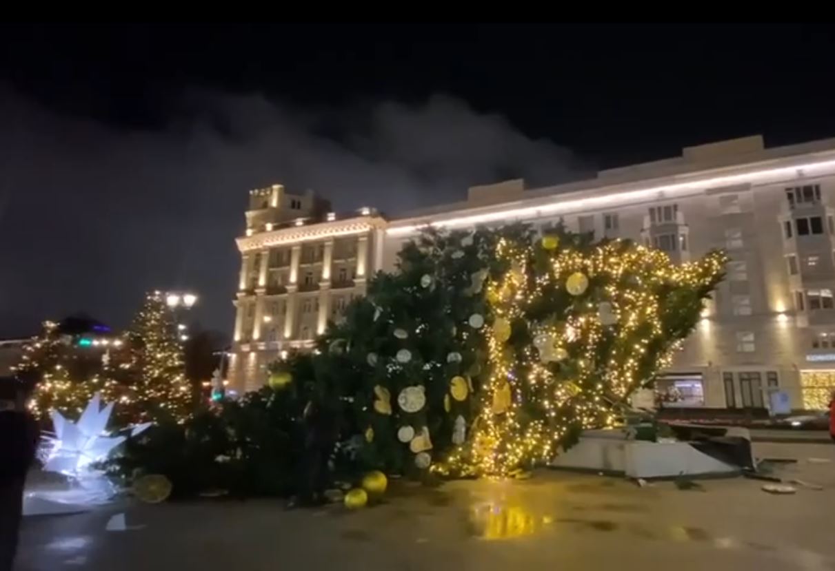 В Ростовской области появилась «пизанская ель» В Ростовской области появилась «пизанская ель»