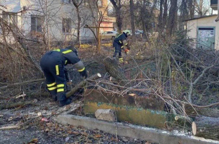 В Ростове сильный ветер повалил девять аварийных деревьев