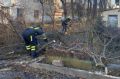 В Ростове сильный ветер повалил девять аварийных деревьев