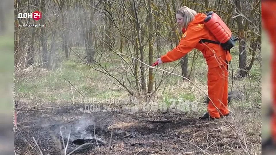 ��������� ������ ����: �������-�������� �������� � ��������� ������ ��������