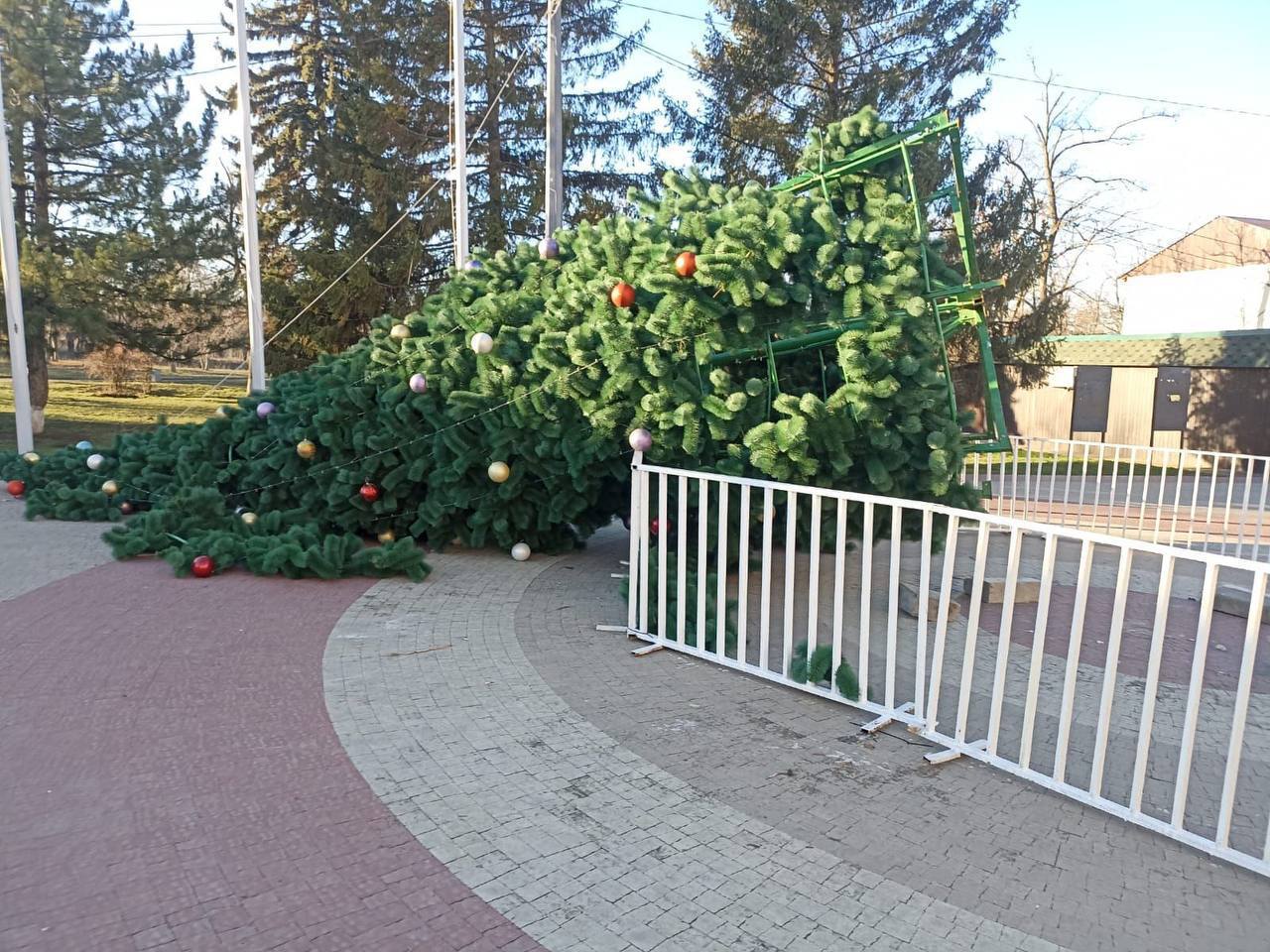 Сильный ветер снес елку в Красносулинском районе, а в Батайске зеленая красавица держится из последних сил Сильный ветер снес елку в Красносулинском районе, а в Батайске зеленая красавица держится из последних сил