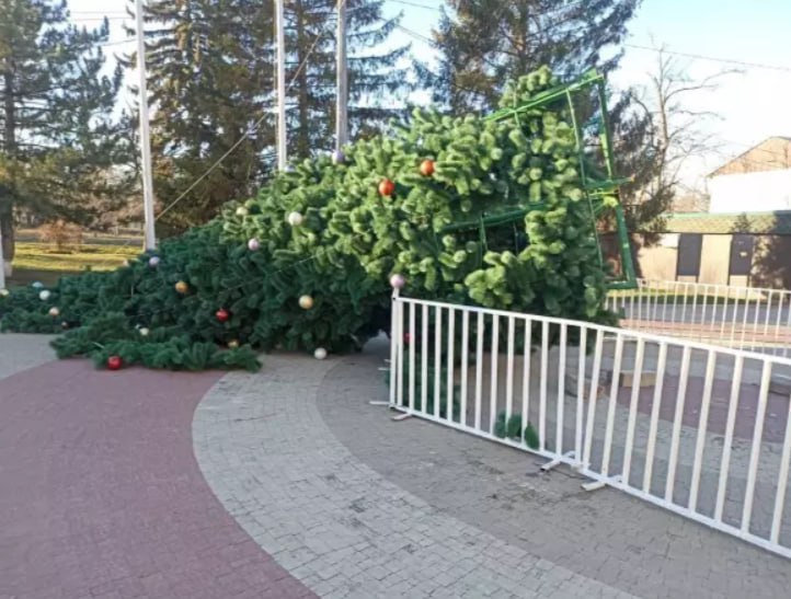 В Красном Сулине из-за непогоды упала ёлка