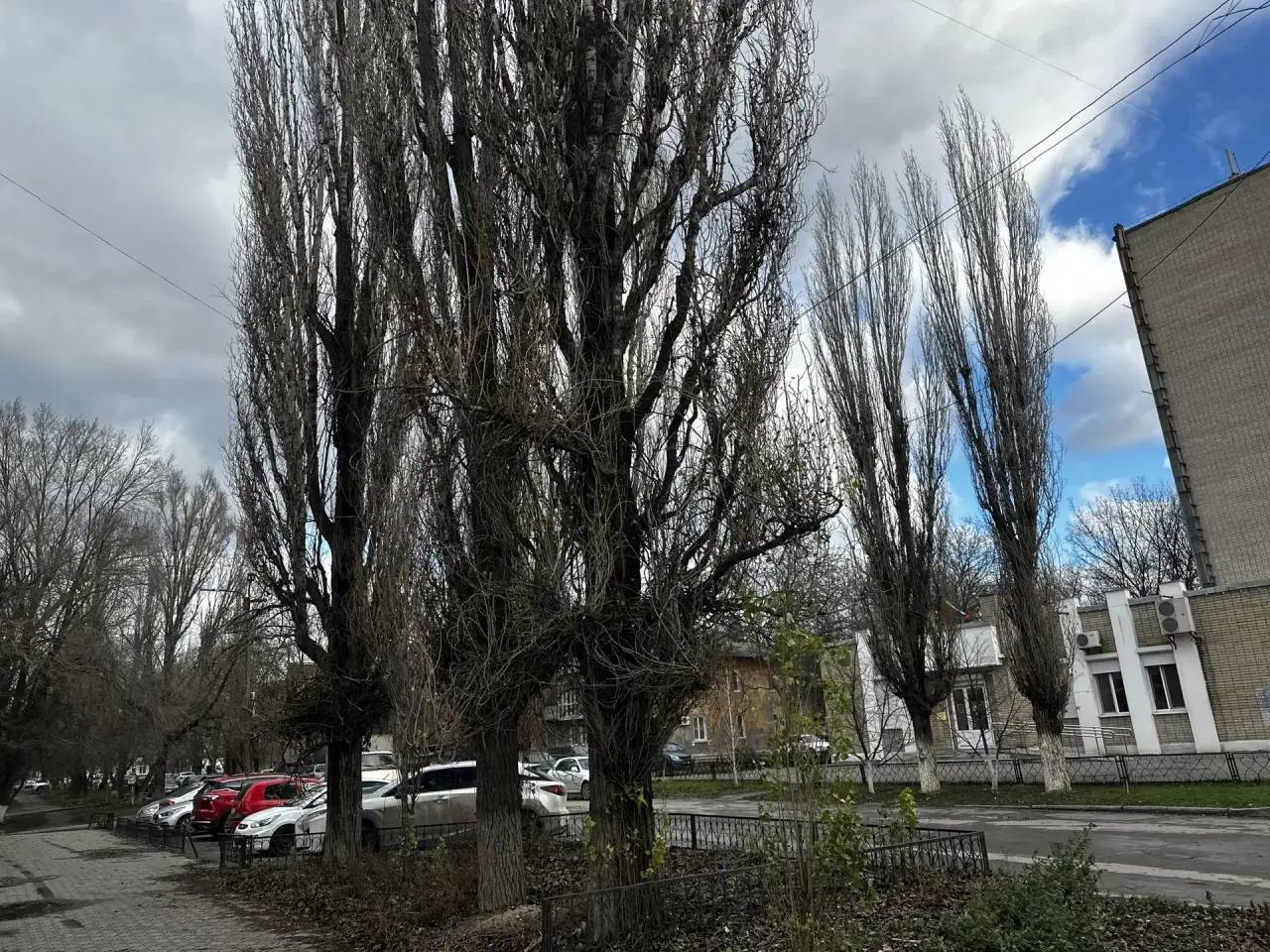 Сегодня провел первый объезд городских территорий со своими заместителями и руководителями ключевых направлений, отвечающих за благоустройство нашего города Сегодня провел первый объезд городских территорий со своими заместителями и руководителями ключевых направлений, отвечающих за благоустройство нашего города