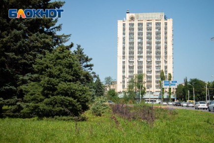 Ростов готовится к новой программе озеленения города