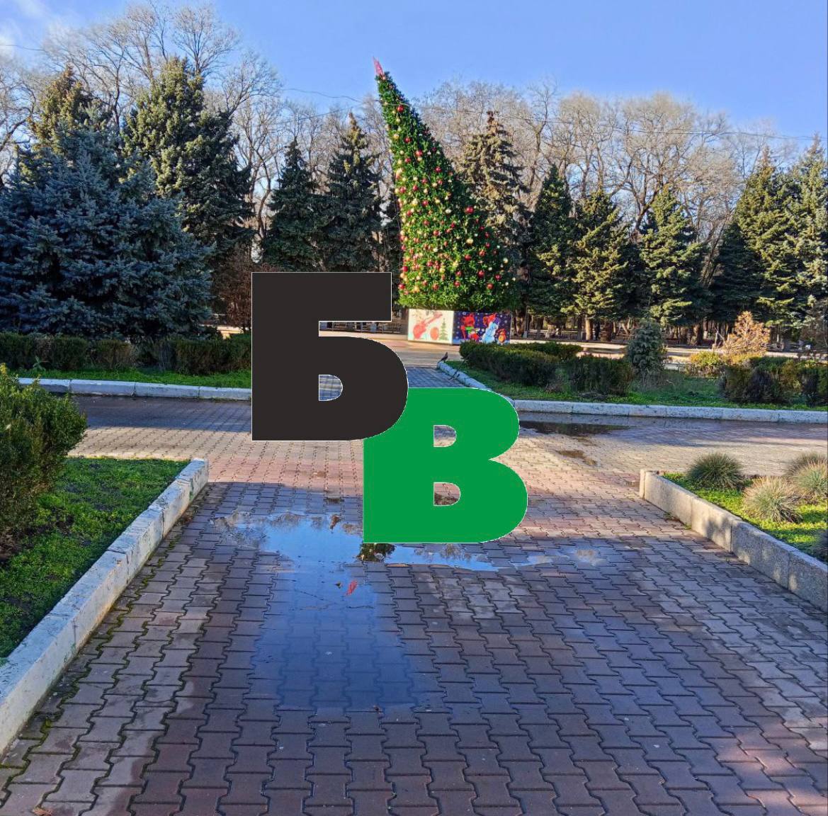 Сильный ветер снес елку в Красносулинском районе, а в Батайске зеленая красавица держится из последних сил