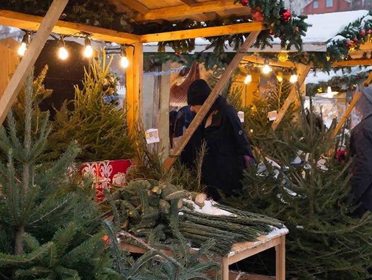 Почём живые ёлки в Ростове? Начнём с самых низких цен