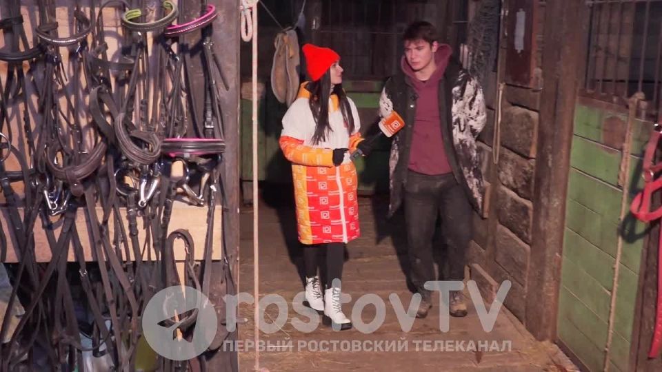 2026: год Красной огненной Лошади