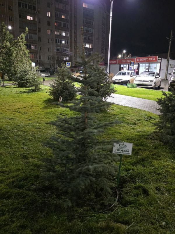 �������� ���� �������� ��-���� �������� �� ������