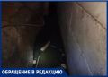 «Дети дышат вредными газами»: больше года подвал многоквартирного дома затапливает канализацией в Ростове