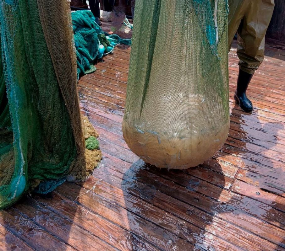 ����� ����� ���������� �������� ����