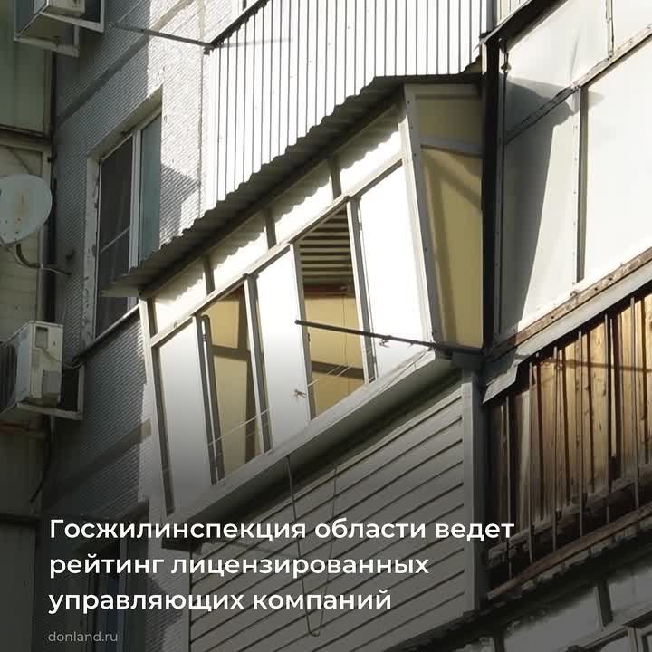 #�����. #���������. #�����������