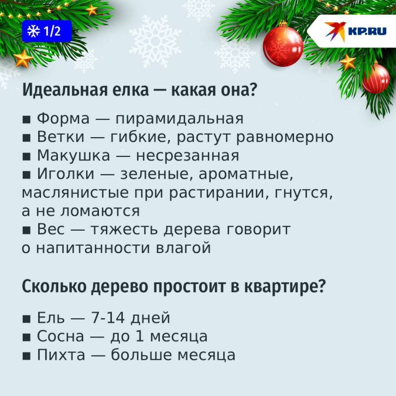 �������� �����: ��� ������� � ���������