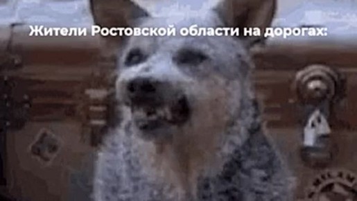 Гололёд на дорогах Ростовской области продолжает радовать шиномонтажки и дрифтеров