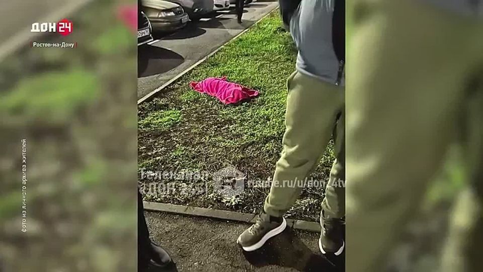 29-������ ������� ������ � ������ �����������