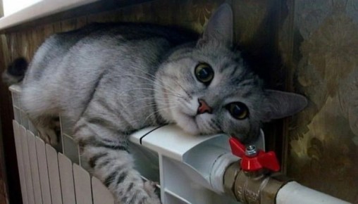 Жители Ростова рассказали, как пережили массовое отключение отопления