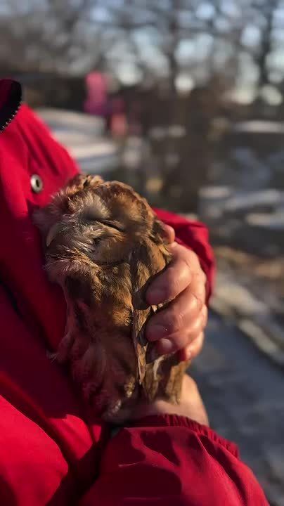 �����������? �������...�. ����� ���� ���� �������� ��������� �������������� �����, ������� ����������: �������� � ��� ������������ �������� ������������� ������, ������������ � �������