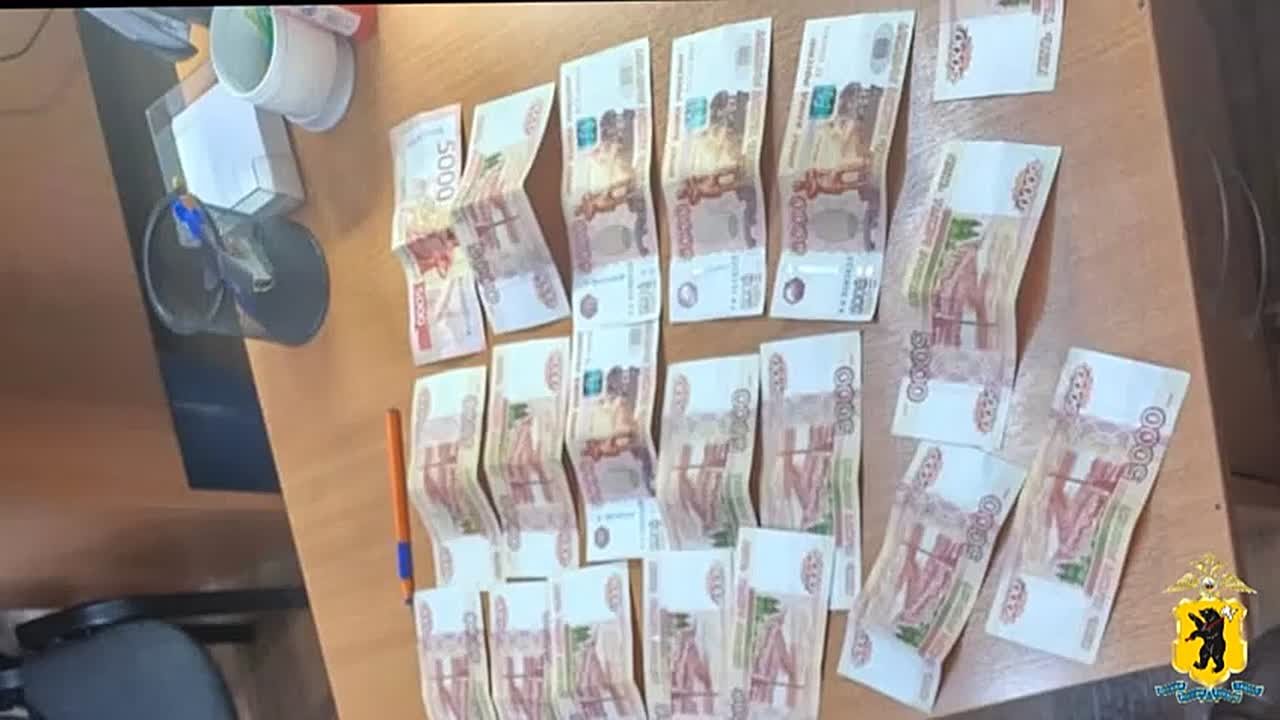 Полицией Ярославля пойман серийный домушник за кражи денег и золотых украшений из частных домов