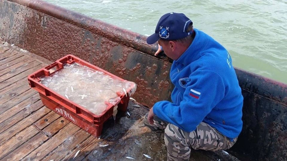 ��������� ��� � ������������ ������