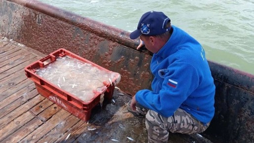 ��������� ��� � ������������ ������