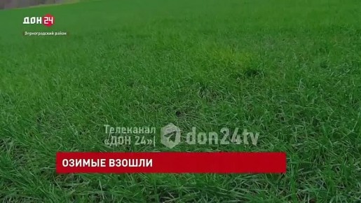 ����� 99% ������ ������ � ���������� �������