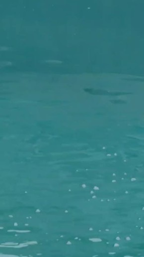 Ростовчане, как ваше утреннее настроение?