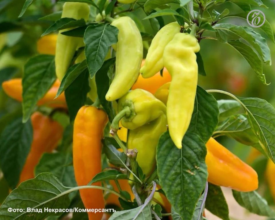 �� ���� � ��������� ��������� ���������� ���� ������� ����������