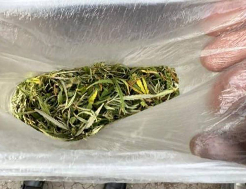 � ���������� ������� � ������� ����� ���������, ���������� � ������ �������