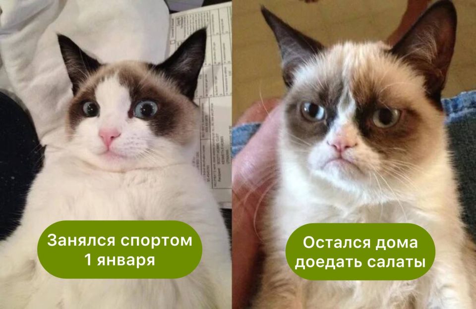 ����� ��� ���������� ����: ������ ���� ����� 1 ������