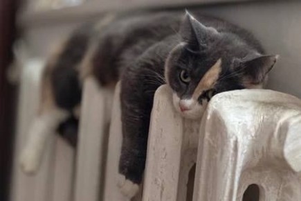 ��� ������, ���� ������� ��������, � ��������� ��������? ������ ���������� ��� ������������ �� ������ �� ���-2 � �������