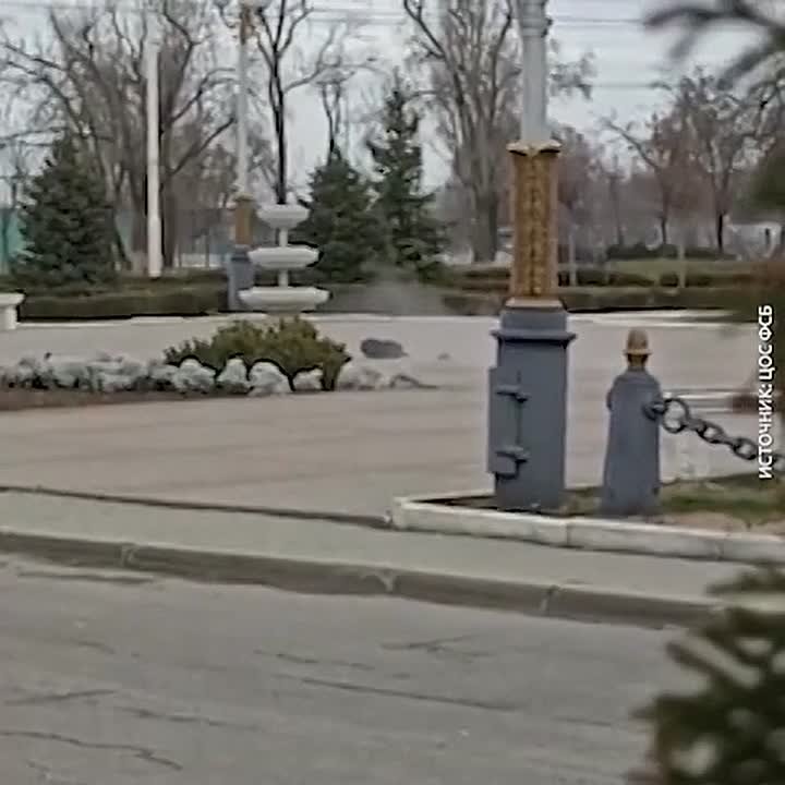 Студентку со взрывчаткой в рюкзаке задержали возле администрации Волгодонска