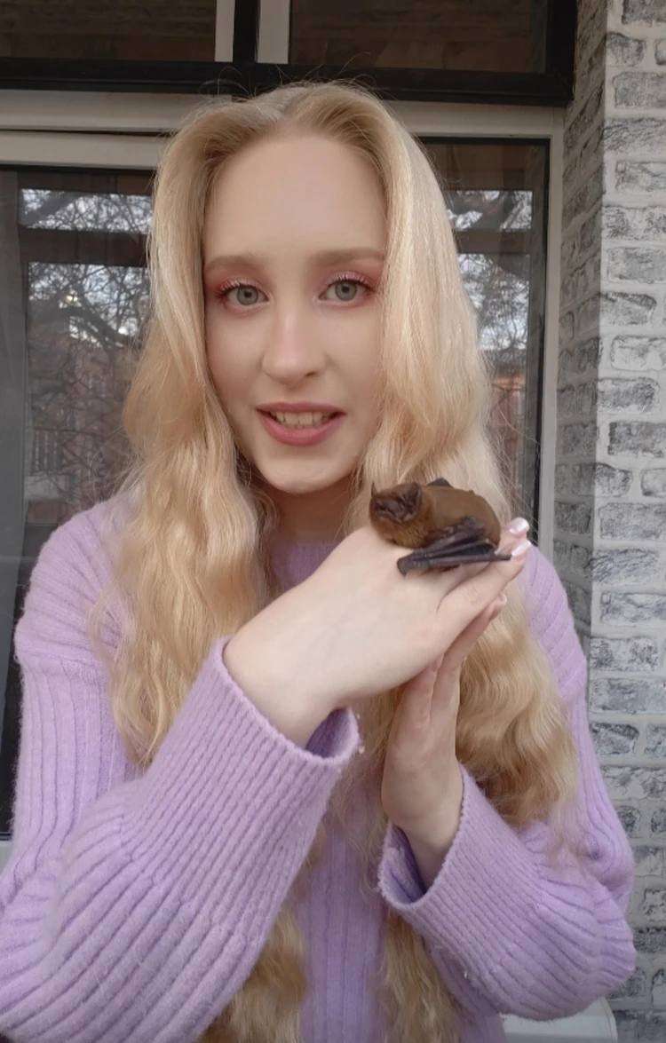 «Живёт в холодильнике — у неё своя полка»: Ростовчанка спасла летучую мышь и приютила её у себя в квартире