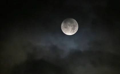 ����� 16 ����� ��������� ����� ������ ���� ���� � ���������� �������