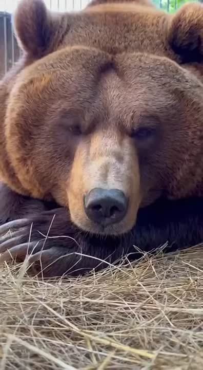 ������� � ���������� �������� ������� �� �����