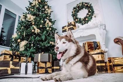 ����� ������� ������ ������ �������� �� ����� ��� � ��� ������ �� �� ������� � ����������� ����: ������ ����������