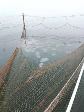 ����������� ������ � �������� ����: ������ �������� �������� � �� �����������