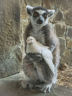 ��� ����� ��������� ������ ���������� � ���������� ��������