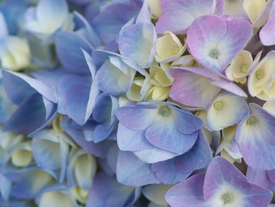 ���������: ��� ��������� �� ���������� � ����� ����