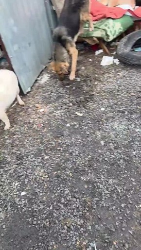 ��������� ���������� ������ �������� ������, ��� �������� ����� ����� ��������, ���� ��������� � �������