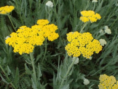 �������������: ������������� ������� ������ ����