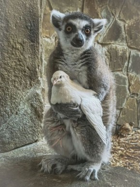 ������ ����� ������� � ���������� ��������� ����������������