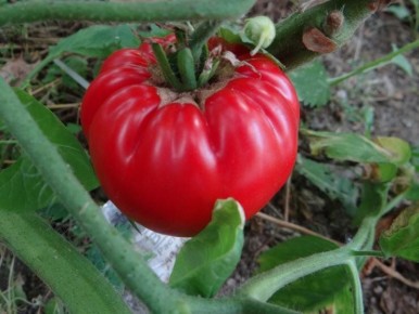 ������� �������� ������: 13 ������ ������� ������� ��� ������ ����