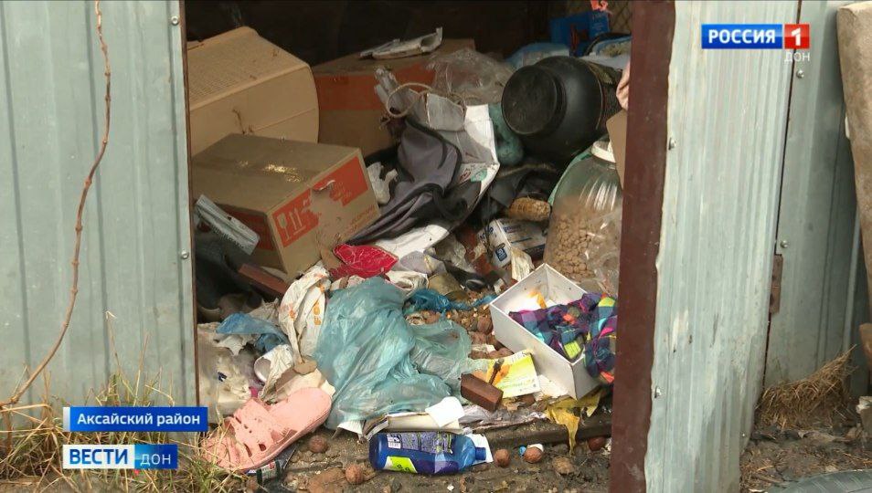 Уголовное дело возбудили по факту жестокого обращения с животными в приюте Аксайского района "Забытые сердца", сообщили в МВД по Ростовской области Уголовное дело возбудили по факту жестокого обращения с животными в приюте Аксайского района "Забытые сердца", сообщили в МВД по Ростовской области
