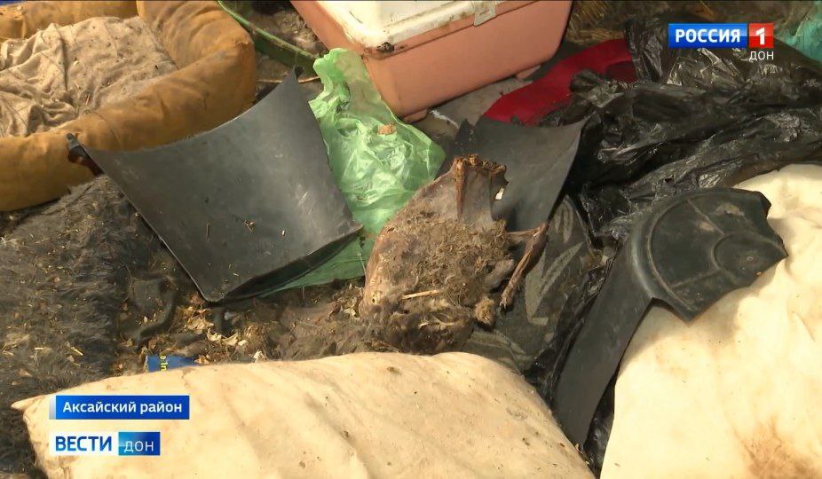 Уголовное дело возбудили по факту жестокого обращения с животными в приюте Аксайского района "Забытые сердца", сообщили в МВД по Ростовской области Уголовное дело возбудили по факту жестокого обращения с животными в приюте Аксайского района "Забытые сердца", сообщили в МВД по Ростовской области