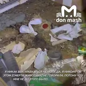 ������� ��������� ��������� ���� ������ ��������� ������ "������� ������" ������� ���������