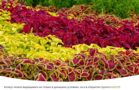 ������: ����� ��������� ������ ����