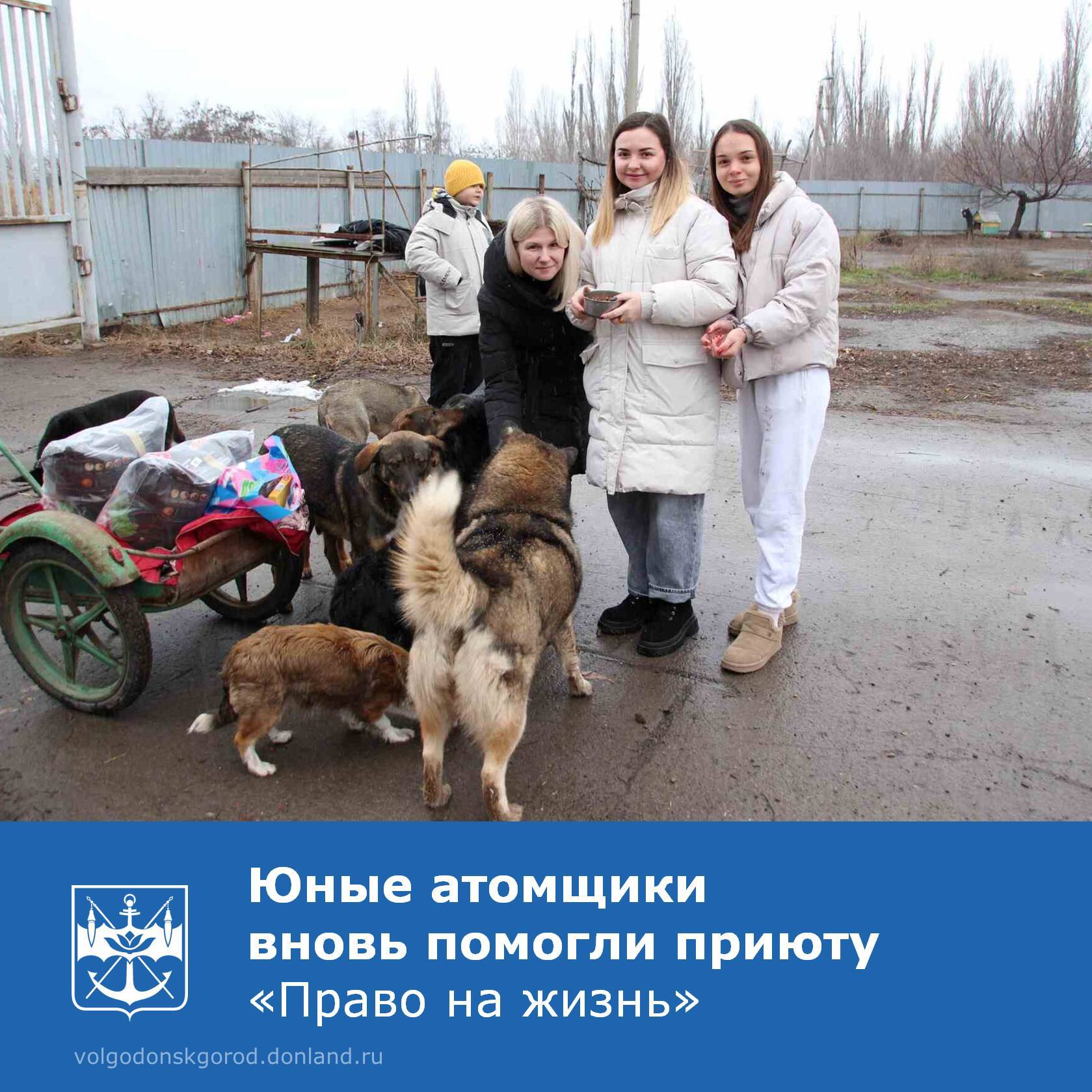 В рамках акции «Пушистый атом» Молодёжный совет предприятия «Волгодонскатомэнергоремонт» посетил приют «Право на жизнь»