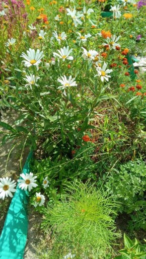 ��������� ������� ���������� �� �������� �����: ������� � �������������