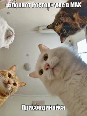 �� ��������, ��� � ��������� ���������, �� �� ������ ������, ������� ���������� � MAX