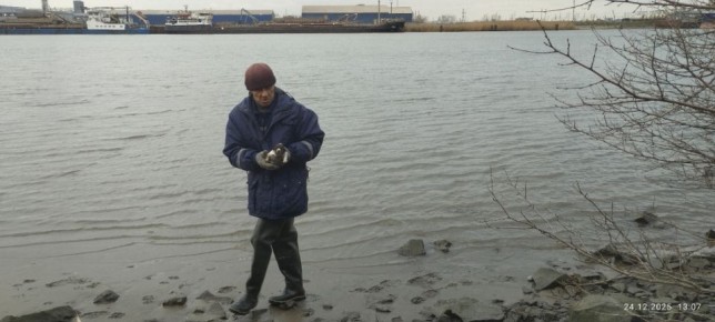 Слепого щенка и его маму спасли с островка на Дону в Ростове